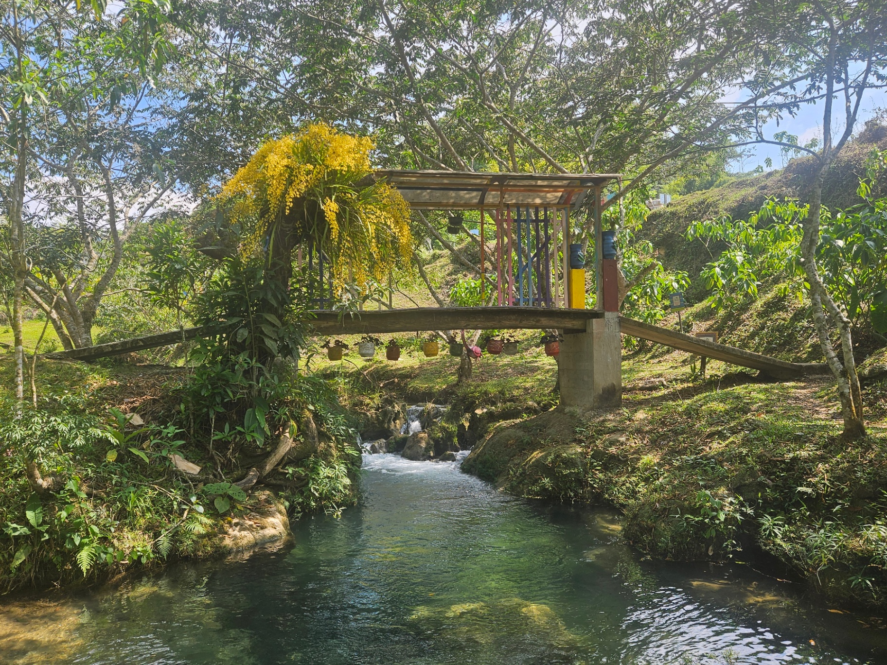Puente sobre el río de aguas cristalinas en La Florida